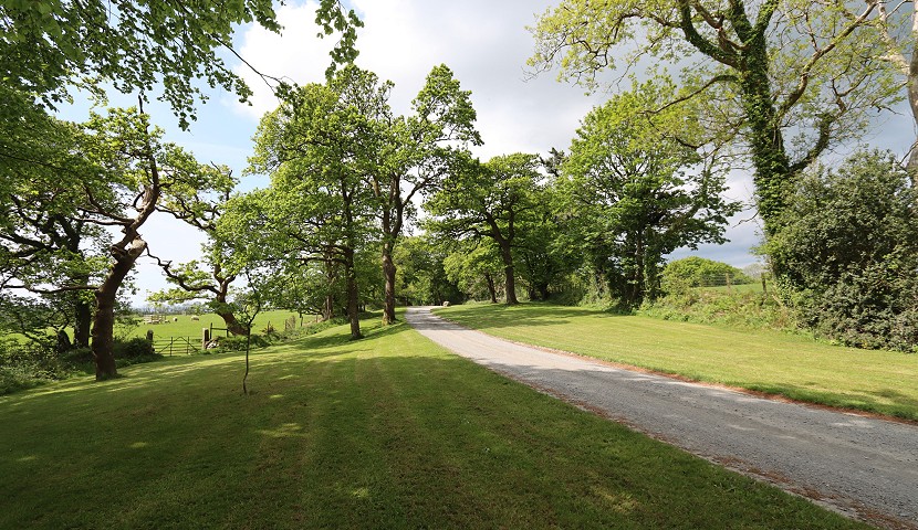 road with grass and trees surrounding it showing peaceful location of Trallwyn holiday park