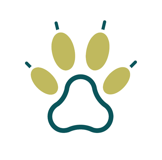 paw print icon